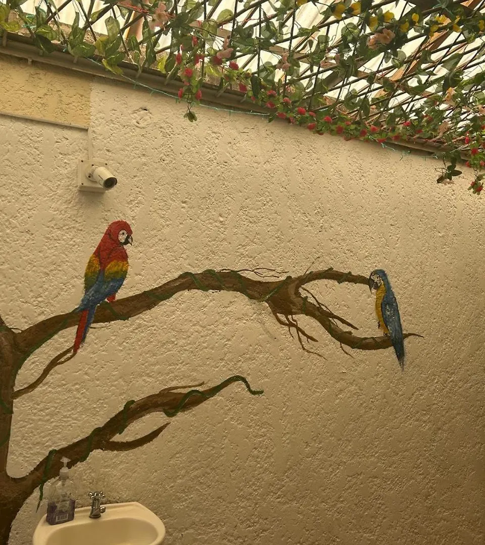 Viajero Hostel Medellin Guest house