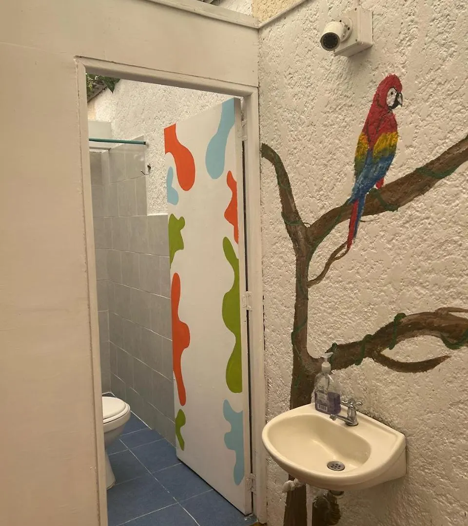 Hostel Alma Nik Medellín
